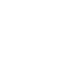 form icon